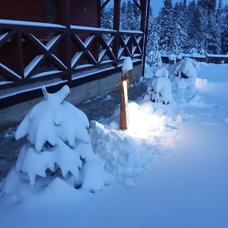 Котедж Вікторія Bubnyshche Exterior photo
