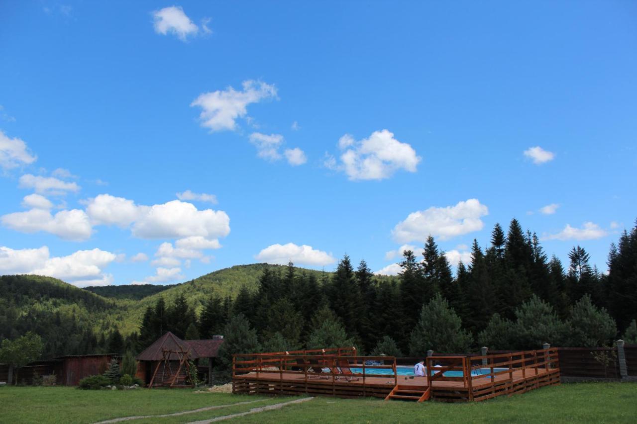 вікторія Holiday home Bubnyshche