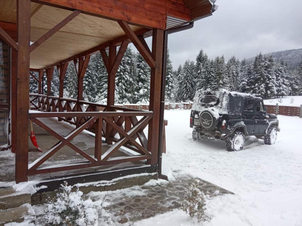 Holiday home вікторія Bubnyshche