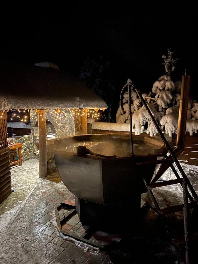 вікторія Holiday home Bubnyshche
