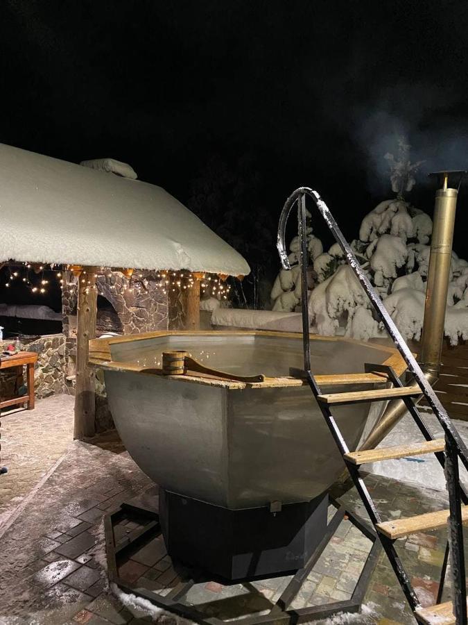 вікторія Bubnyshche