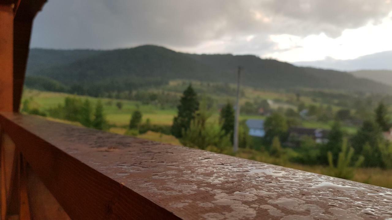 вікторія Holiday home Bubnyshche