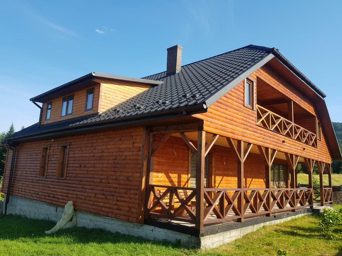 вікторія Bubnyshche