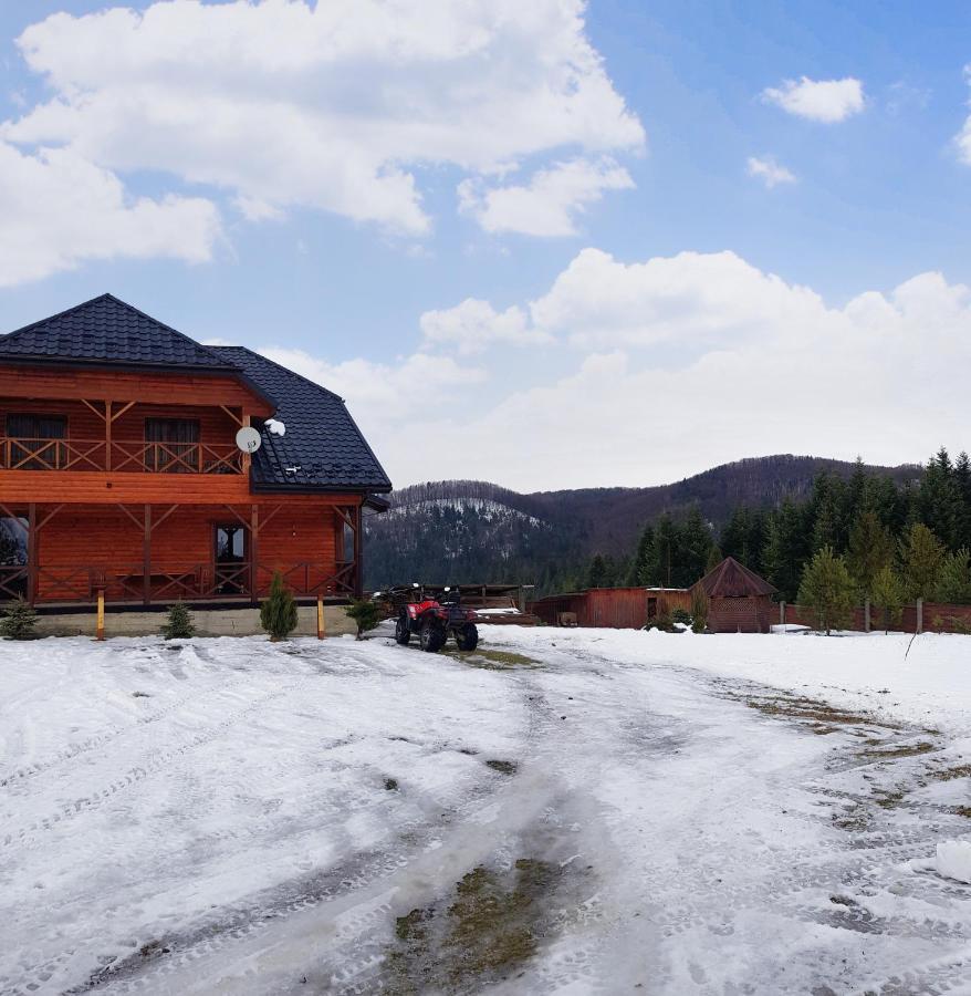 вікторія Holiday home Bubnyshche